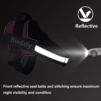 Personalized No-Pull Reflective Breathable Dog
