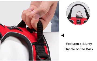 Truelove Reflective No-Pull Adjustable Nylon Dog Harness