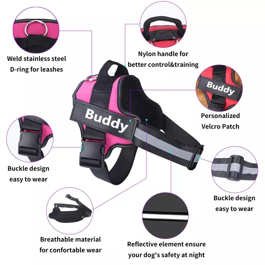 Personalized No-Pull Reflective Breathable Dog