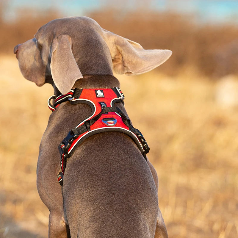 Truelove Reflective No-Pull Adjustable Nylon Dog Harness