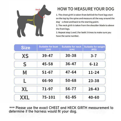 Personalized No-Pull Reflective Breathable Dog