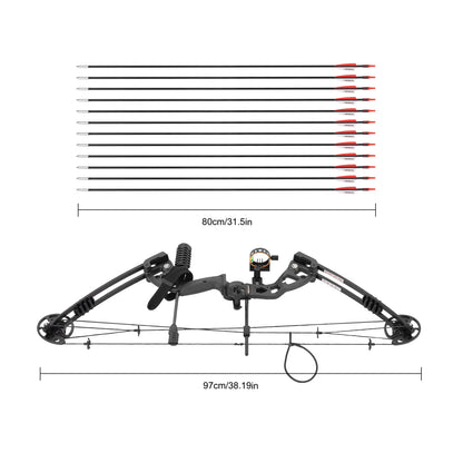 Right-Handed 30-55lbs Compound Bow 12 Arrows Arch Set