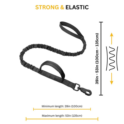 Large Training Dog Harness and Leash Set