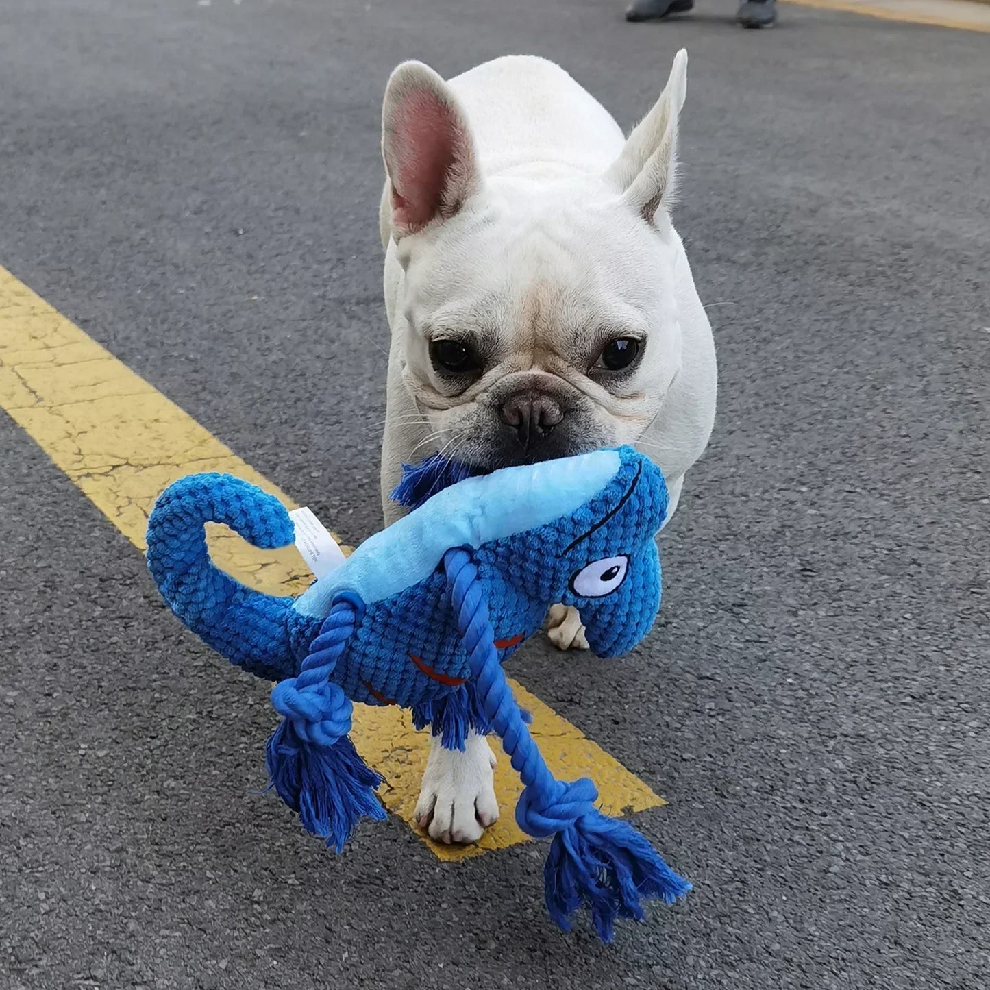 Plush Dog Squeaky Toy