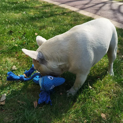 Plush Dog Squeaky Toy