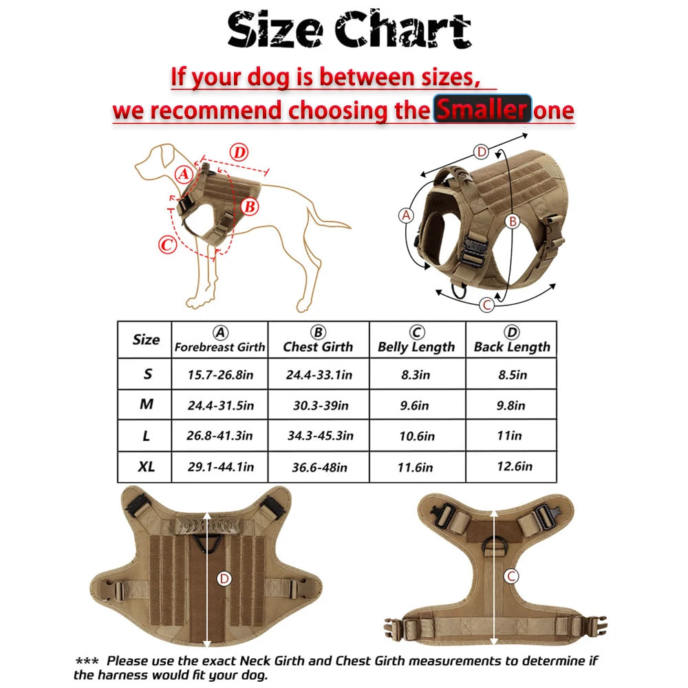 Large Training Dog Harness and Leash Set