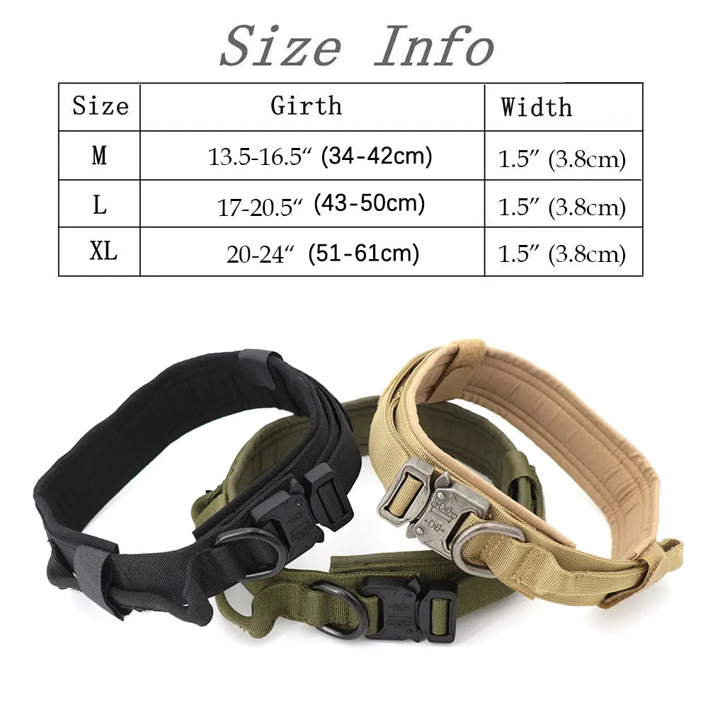 Large Training Dog Harness and Leash Set