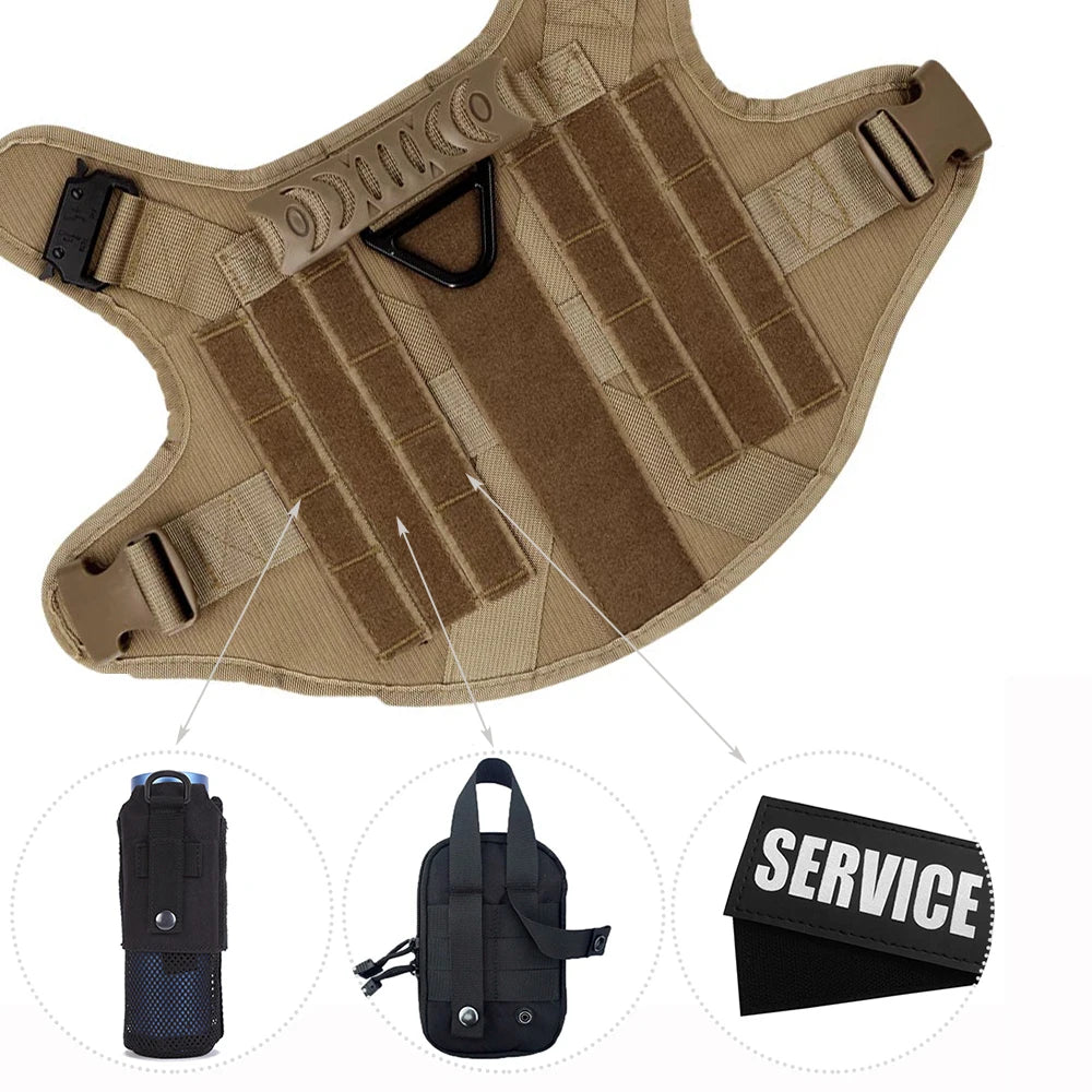 Large Training Dog Harness and Leash Set