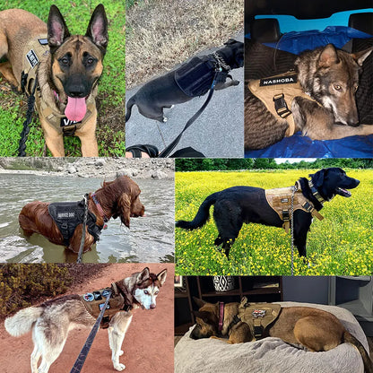 Large Training Dog Harness and Leash Set