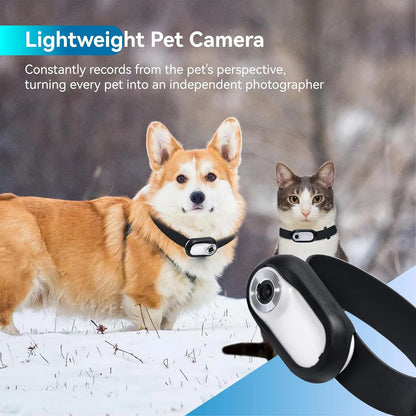 Small HD Camera Action Collar for Pets