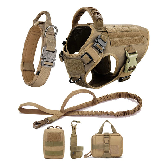 Large Training Dog Harness and Leash Set