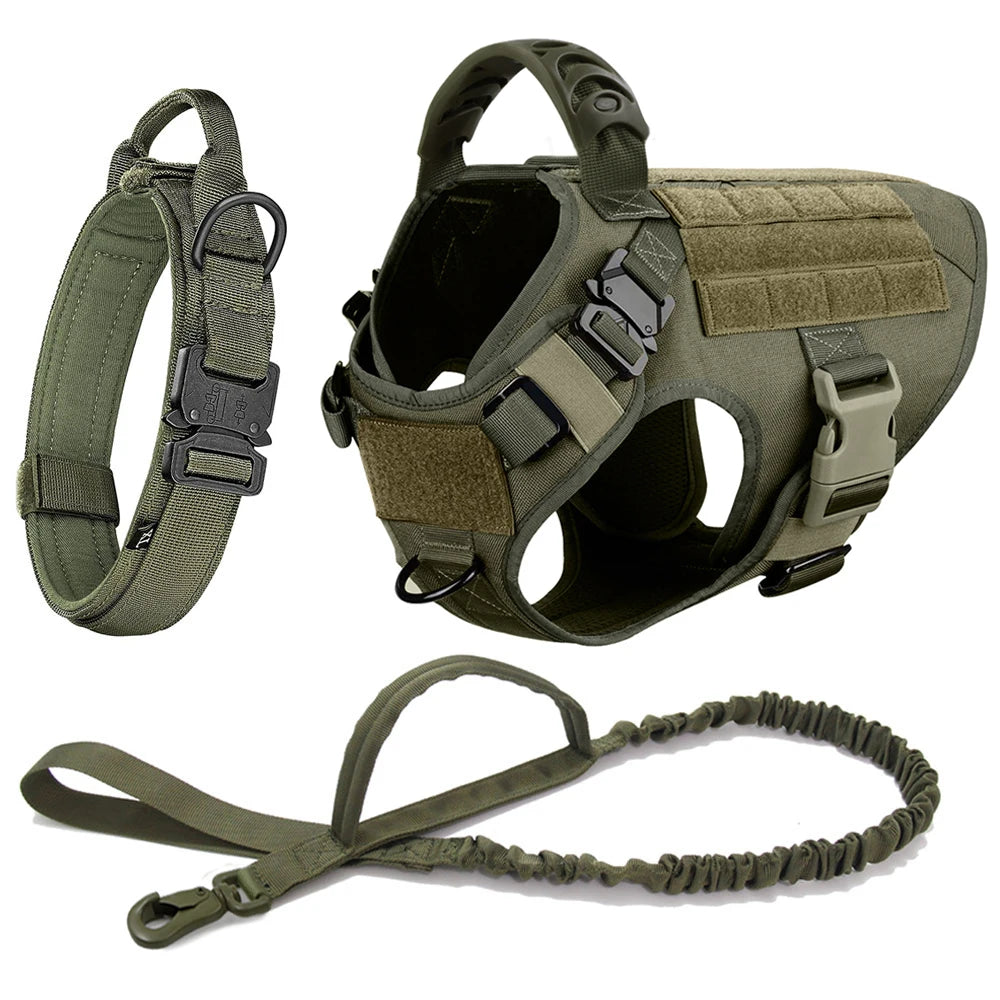 Large Training Dog Harness and Leash Set