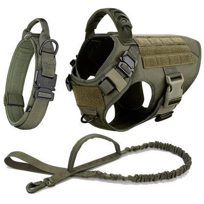 Large Training Dog Harness and Leash Set
